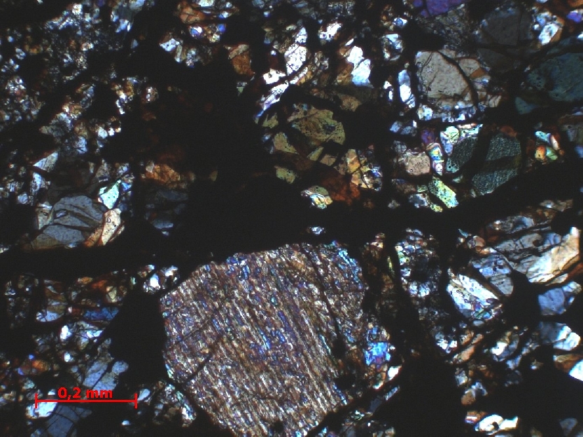  Microscope Chondrite ordinaire Chondrite ordinaire H5 (S1/2, W2)    