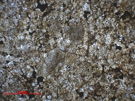 Chondrite ordinaire Chondrite ordinaire L6 (S1/2, W2) Sahara Tanezrouft  