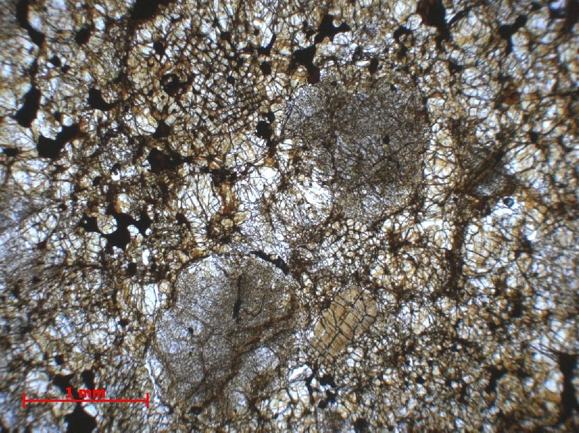  Microscope Chondrite ordinaire Chondrite ordinaire L6 (S1/2, W2) Sahara Tanezrouft  