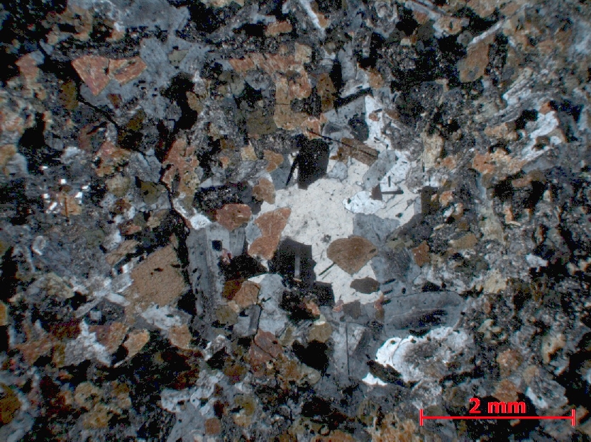 Microscope Tonalite Adamellogranite Alpes Massif d’Adamello-Presanella