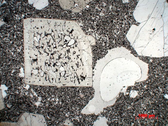  Microscope Basalte porphyrique à augite et olivine Basalte porphyrique à augite et olivine Montagnes des Virunga Nyamuragira  